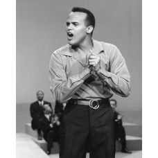 Пазл Harry Belafonte размеры до 60×90см, 1536эл.