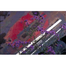 Пазл ABST0521 размеры до 60×90см, 1536эл.