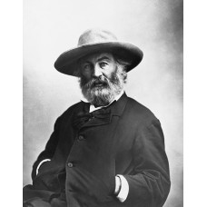 Пазл Walt Whitman-4 размеры до 60×90см, 1536эл.