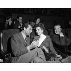 Пазл Cary Grant-4-1 размеры до 60×90см, 1536эл.