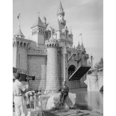 Пазл Walt Disney-03 размеры до 60×90см, 1536эл.