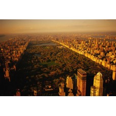 Пазл Центральный парк-вид с воздуха. размеры до 60×90см, 1536эл.