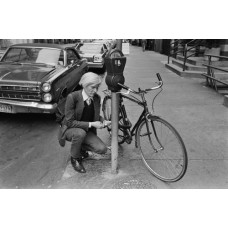 Пазл Warhol Andy размеры до 60×90см, 1536эл.