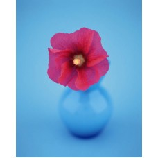Пазл Flower529 размеры до 60×90см, 1536эл.