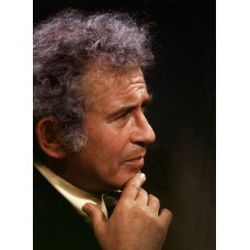 Пазл Norman Mailer размеры до 60×90см, 1536эл.