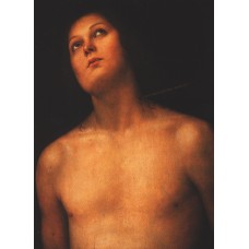 Perugino_003