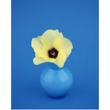 Пазл Flower535 размеры до 60×90см, 1536эл.