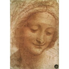 Leonardo da Vinci-11