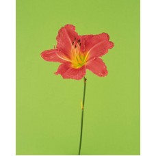 Пазл Flower498 размеры до 60×90см, 1536эл.