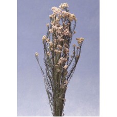 Пазл Flower416 размеры до 60×90см, 1536эл.