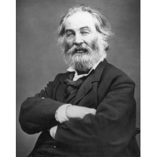 Пазл Walt Whitman-3 размеры до 60×90см, 1536эл.