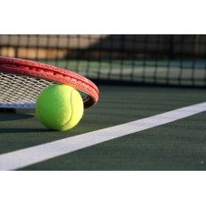 Пазл tennis-16100801 размеры до 60×90см, 1536эл.