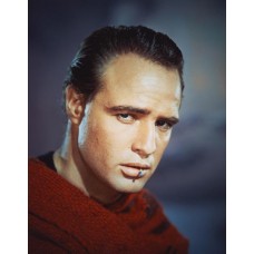  Marlon Brando-2