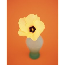 Пазл Flower538 размеры до 60×90см, 1536эл.