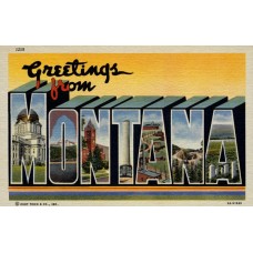 Монтана (Montana)