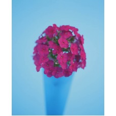 Пазл Flower539 размеры до 60×90см, 1536эл.