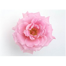 Пазл Flower456 размеры до 60×90см, 1536эл.