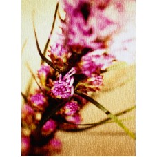 Пазл Flower597 размеры до 60×90см, 1536эл.