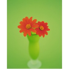 Пазл Flower540 размеры до 60×90см, 1536эл.