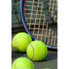 Пазл tennis-16100800 размеры до 60×90см, 1536эл.
