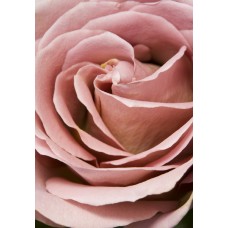 Пазл rose-16100800 размеры до 60×90см, 1536эл.